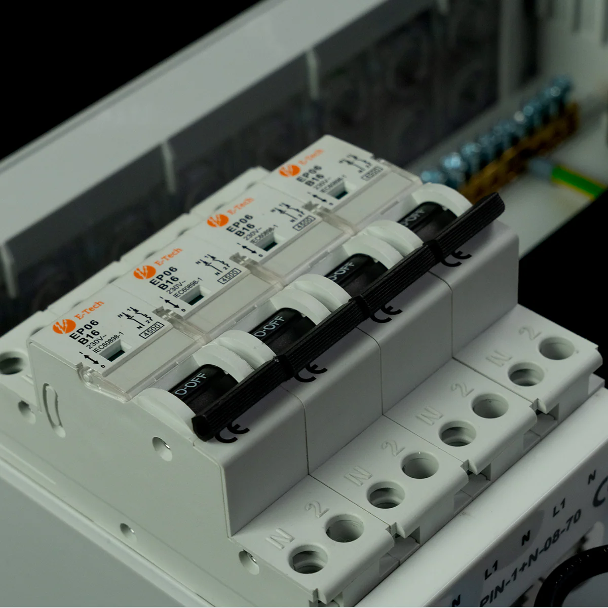 Miniatuur 6
